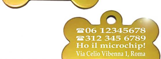 Miglior bandane per cani personalizzate