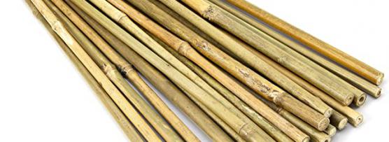 Miglior bastone bamboo