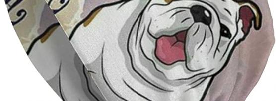 Miglior bulldog cappello