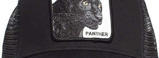 Miglior cappelli goorin bros panther
