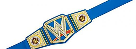 Miglior cintura universale wwe