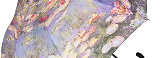 Miglior ombrello monet