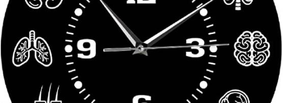 Miglior orologio biologico degli organi