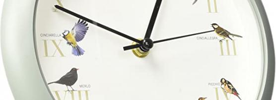 Miglior orologio uccelli citta del sole