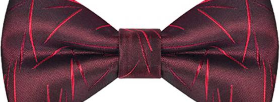 Miglior papillon o cravatta al matrimonio
