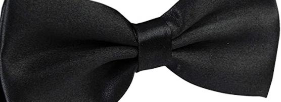 Miglior papillon o cravatta