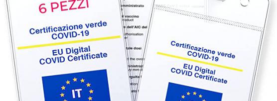 Miglior portadocumenti da collo trasparente