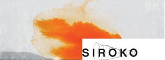 Miglior siroko occhiali