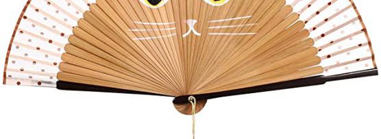 Miglior ventaglio gatto