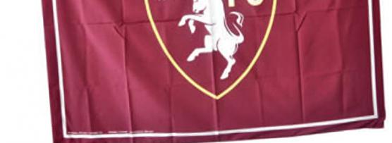 Miglior borsone torino fc