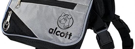 Miglior zaino alcott