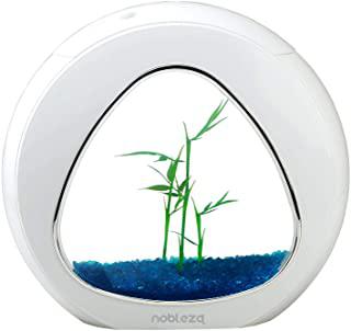 Miglior acquario da scrivania