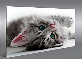 Miglior quadri gatti