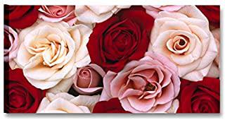 Miglior quadri rosa