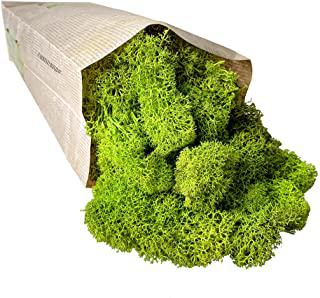 Miglior quadri vegetali