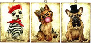 Miglior quadro cane