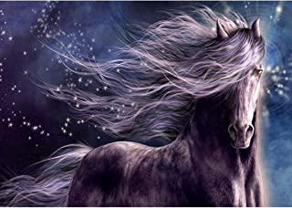 Miglior quadro cavallo