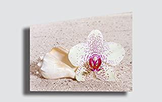 Miglior quadro orchidea