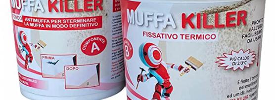Miglior pittura per bagno antimuffa