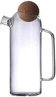 Miglior caraffa in vetro