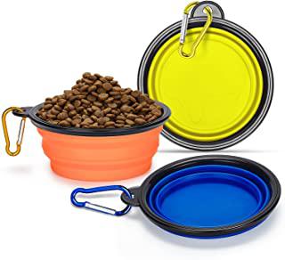 Miglior ciotola per cani