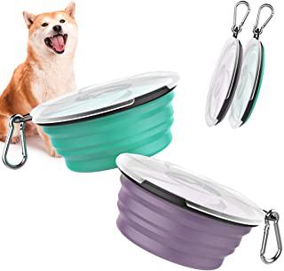 Miglior ciotola pieghevole per cani