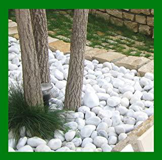 Miglior ciotole da giardino
