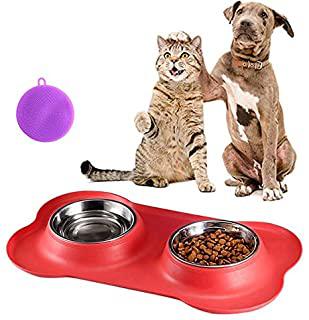 Miglior ciotole in ceramica per cani