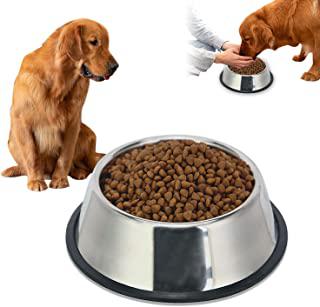 Miglior ciotole per cani personalizzate