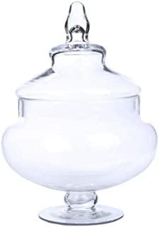 Miglior contenitore vetro con coperchio