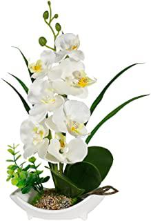 Miglior fiori centrotavola