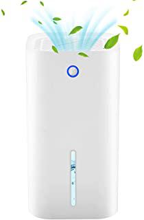 Miglior deumidificatore ambiente