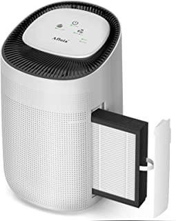 Miglior deumidificatore purificatore
