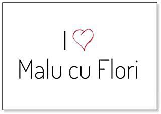 Miglior frigo flor