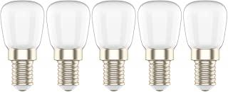 Miglior lampadina frigo led
