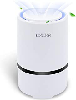 Miglior purificatore aria muffa