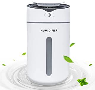 Miglior umidificatore piante