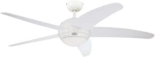 Miglior ventilatore soffitto