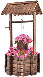 Miglior abete da giardino
