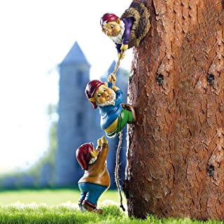 Miglior alberi piccoli da giardino