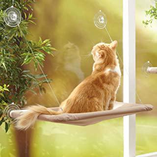 Miglior amaca da termosifone per gatti