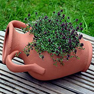 Miglior anfore grandi da giardino