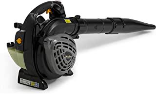 Miglior aspiratore per giardino
