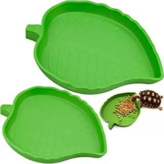 Miglior casetta per tartarughe