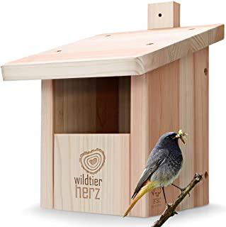 Miglior casette in legno per uccellini