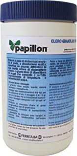 Miglior cloro granulare per piscina