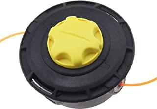 Miglior echo decespugliatore