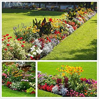 Miglior fiori da giardino