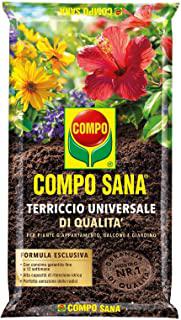 Miglior fiori per giardino