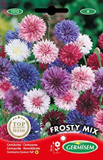 Miglior fiori perenni per giardino